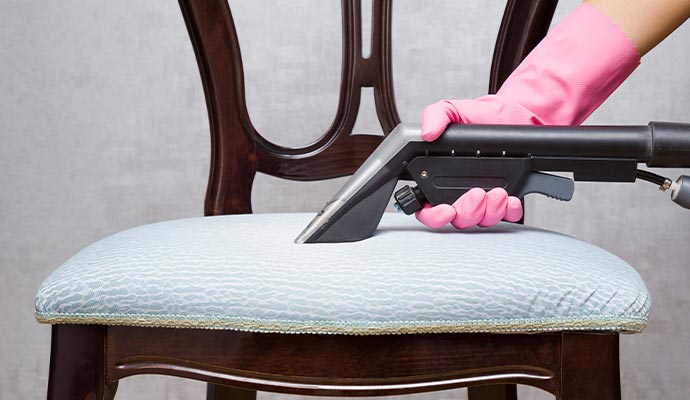 Professional upholstery cleaning service