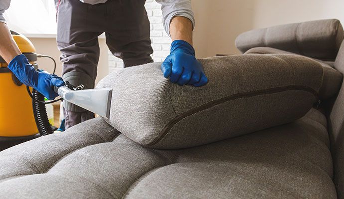 Person cleaning sofa with equipment