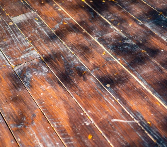 Stained wood floor